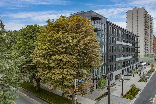 Photo du bâtiment - Raven Apartments