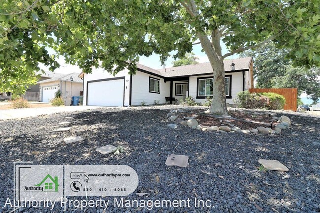 Building Photo - 4 br, 2 bath House - 529 Shell Dr.