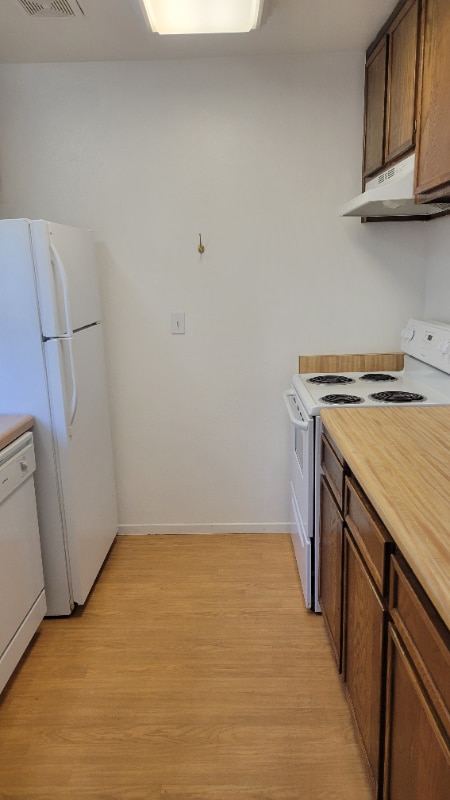 Building Photo - 1533 El Tigre Ct