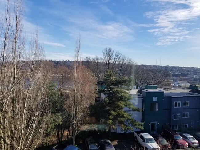 View from Patio - 620 Galer St