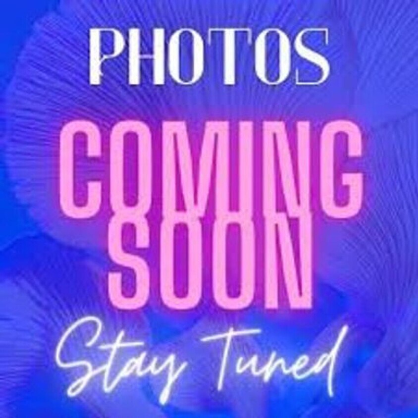 Foto del edificio - 127 Candlebrook Dr