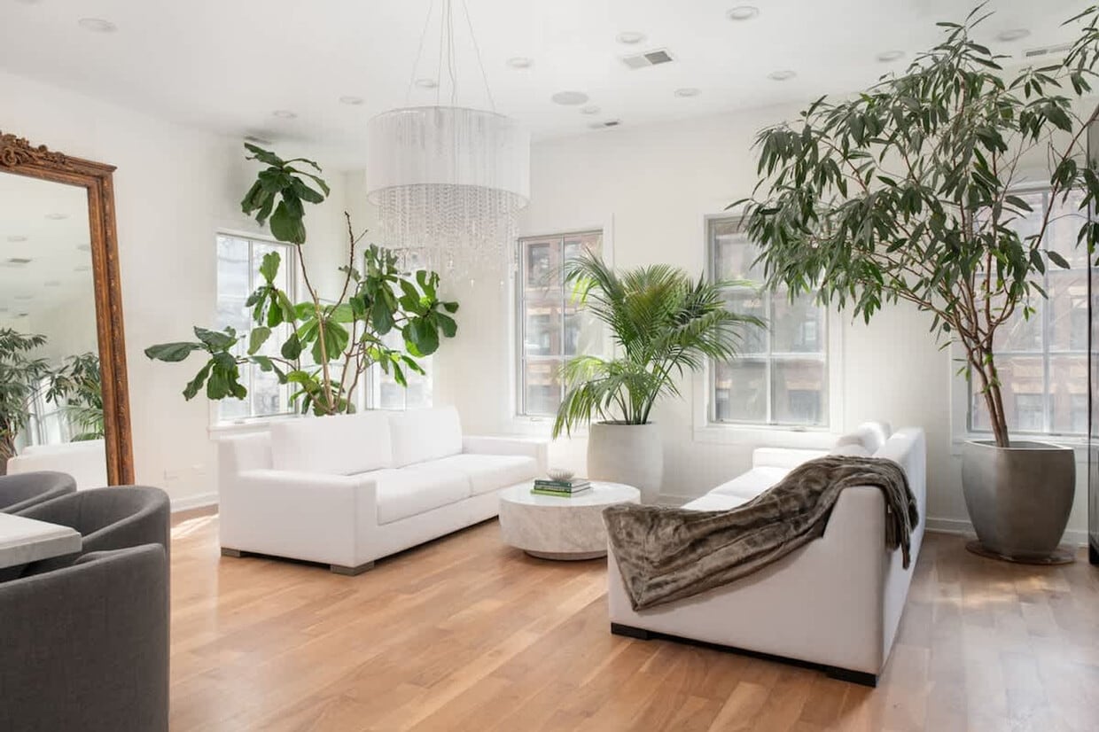 Primary Photo - 22 E Elm St