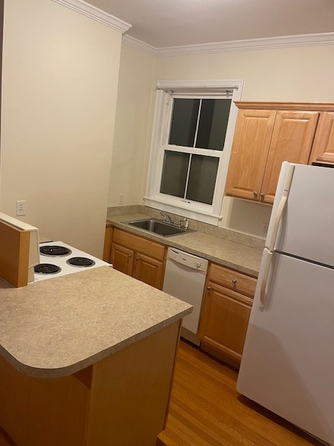 Foto del edificio - 14 Church Ave