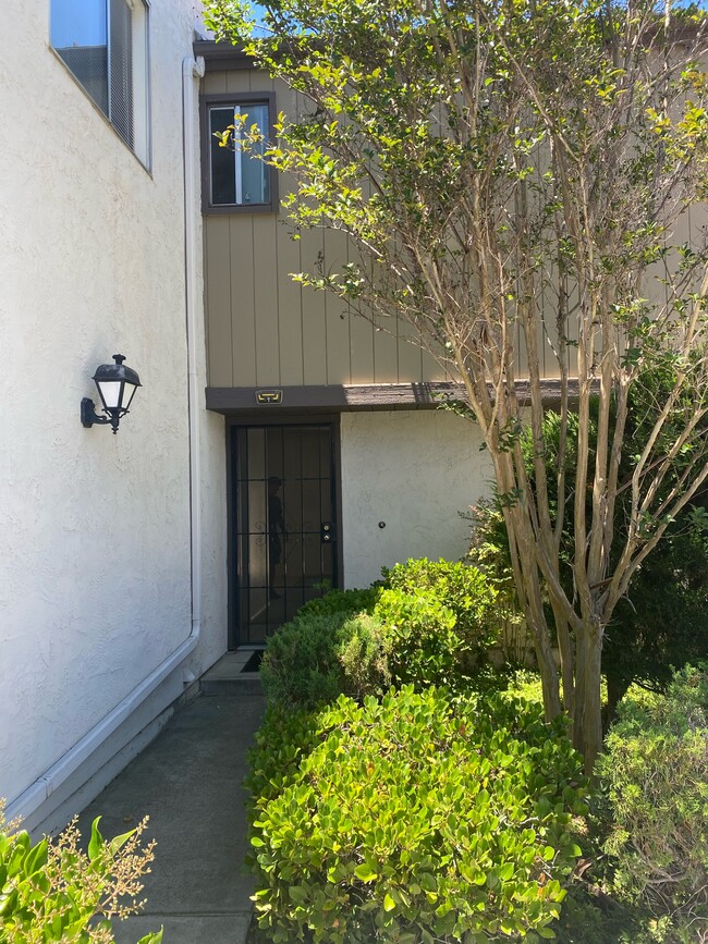 Front entrance - 302 Ranchwood Gln