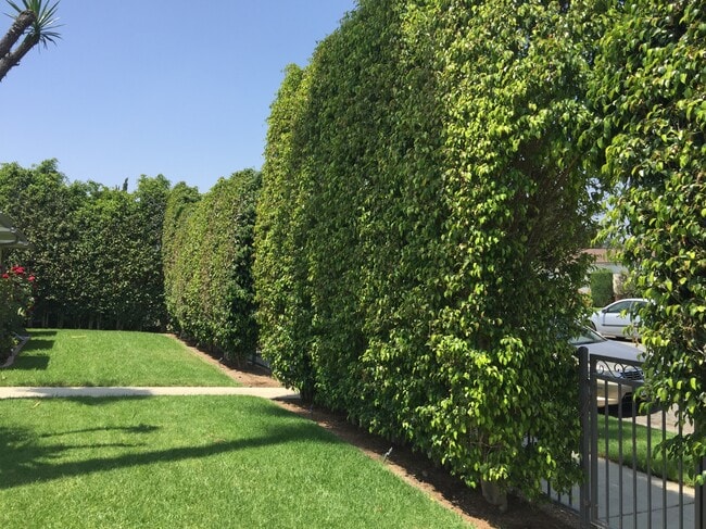 Foto del edificio - 263 N Florence St