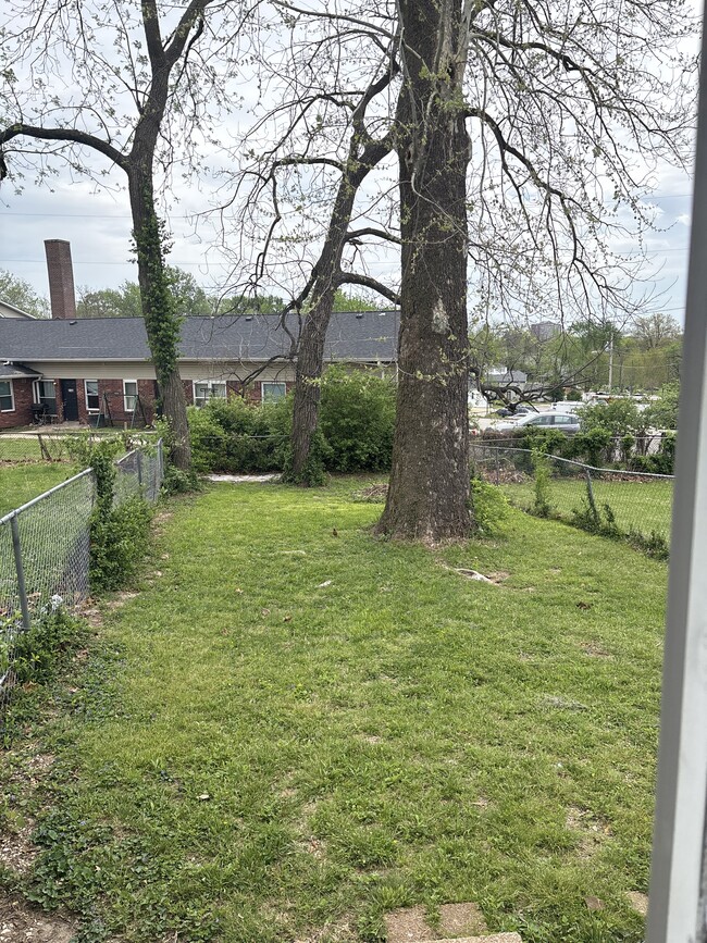 Backyard - 812 Nathan St