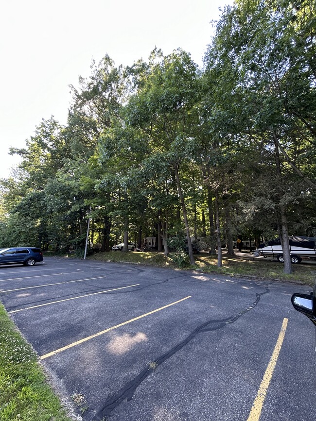 Lot right outside unit - 302 Presque Isle Blvd