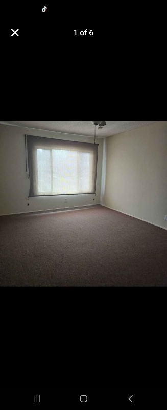 Foto principal - 9823 Walnut St