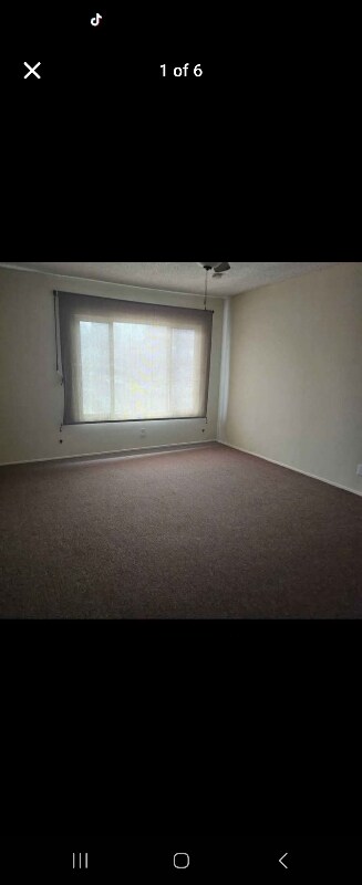 Primary Photo - 9823 Walnut St