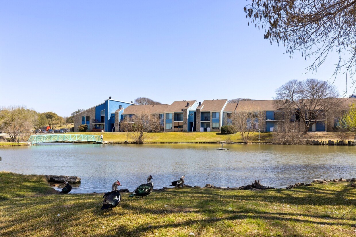 Regatta Apartments in San Antonio, TX