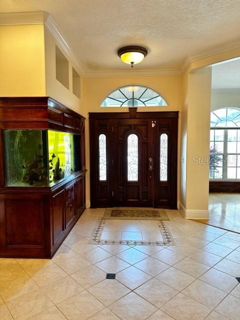 Foto del edificio - 3905 Dumfries Ct