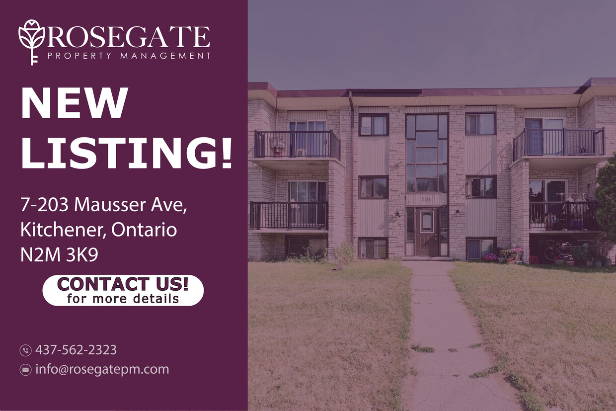 Primary Photo - Spacious 3-Bedroom Apartment | 1,250 Sq Ft...