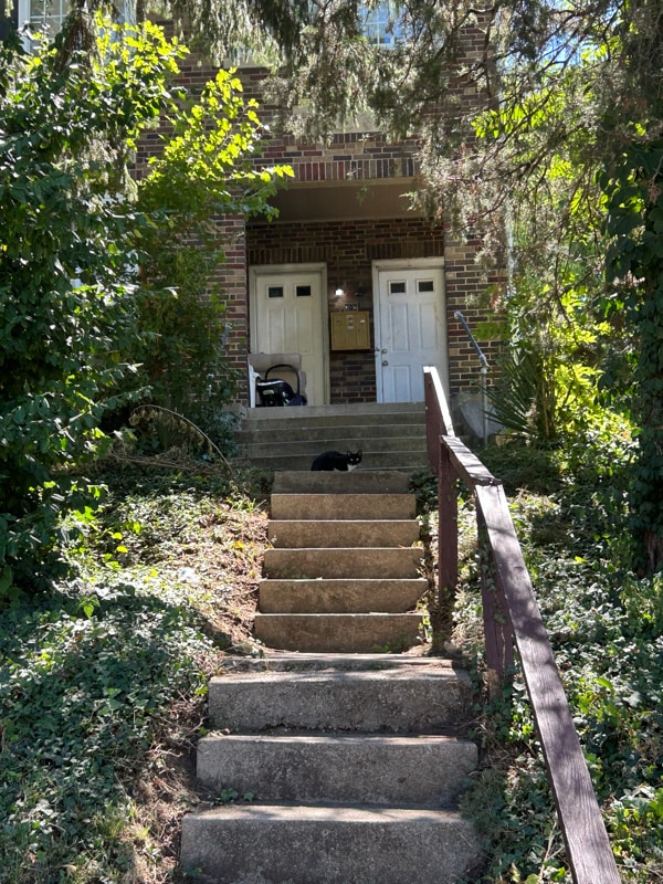 Photo - 705 Greenwood Ave Apartment