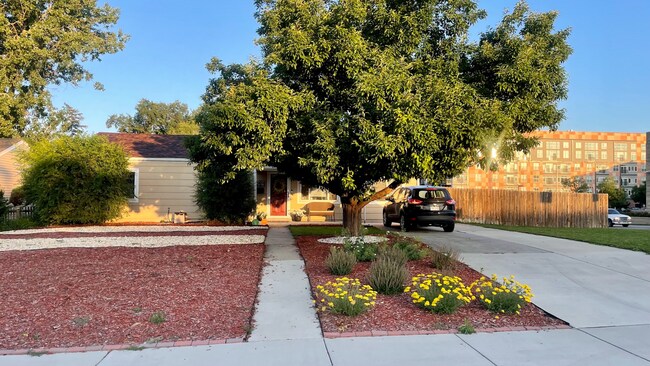 Foto del edificio - University Hills Charming Updated House 3 Bedrooms 1 Bath w/ Large Yard, Solar Panels & More