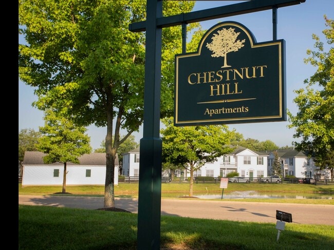 Building Photo - Chestnut Hill Apartments
