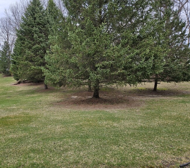 Backyard view - 1608 Mallard Pond Dr