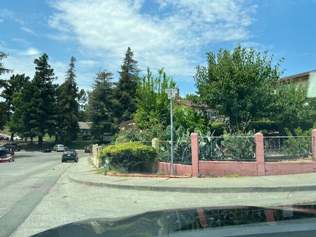 Foto del edificio - Beautifully remodeled 1 bedroom & 1 bath unit near Six Flags in Vallejo