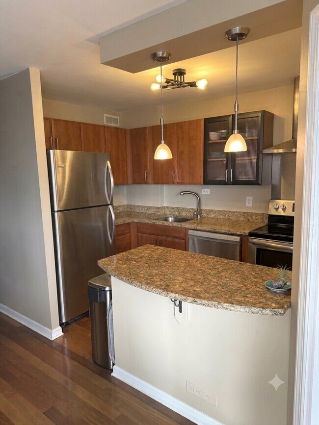 Foto del edificio - 1355 N Sandburg Terrace