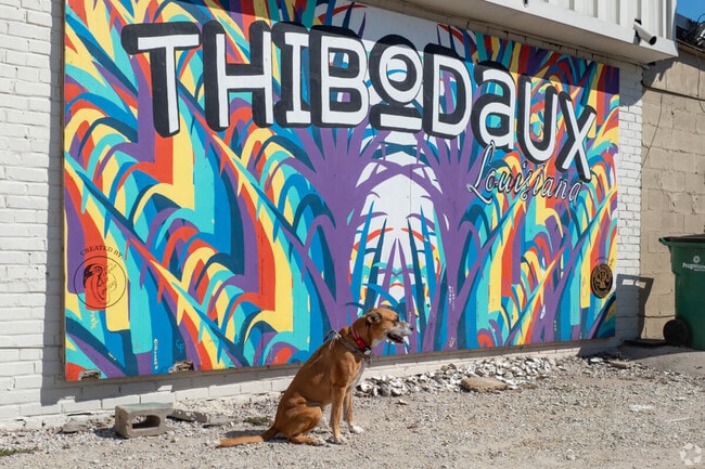 Historic Downtown Thibodaux features a vibrant area adorned with captivating street art.