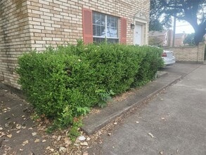 Building Photo - 106 Austin Stone Dr