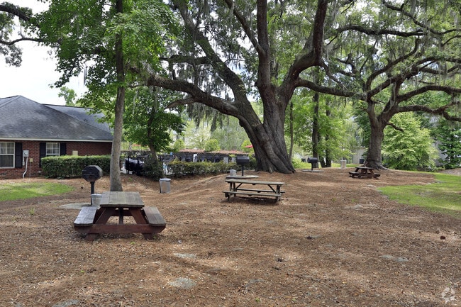 Amenity: Grilling Area - Shadowmoss Pointe Apartments and Townhomes