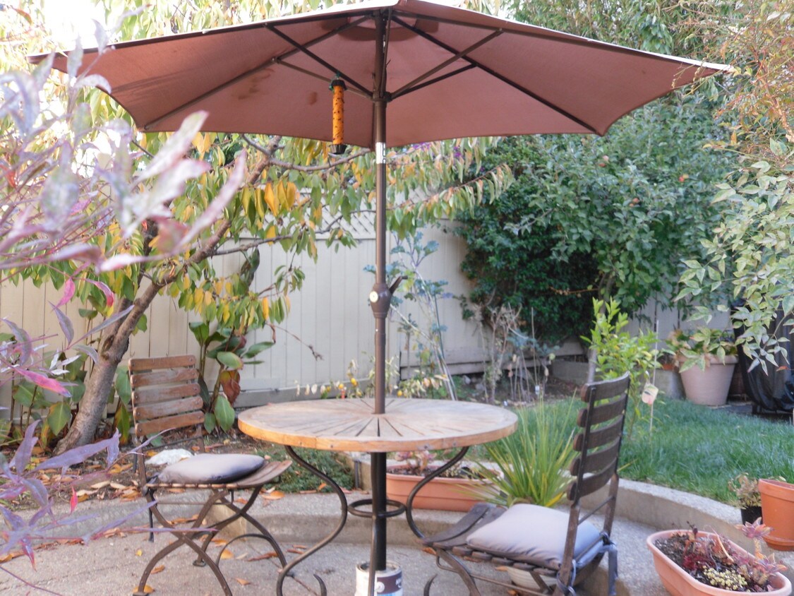 Patio - 386 Jayne Ave