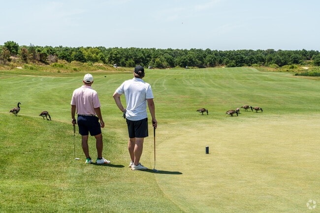 Golfers wait for some locals to pass by at Twisted Dunes Golf Club in English Creek.