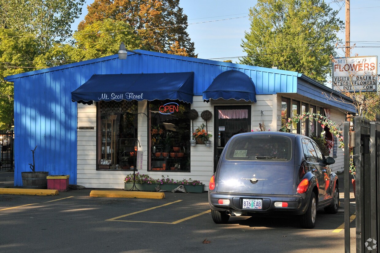 Primary Photo - Shady Lane
