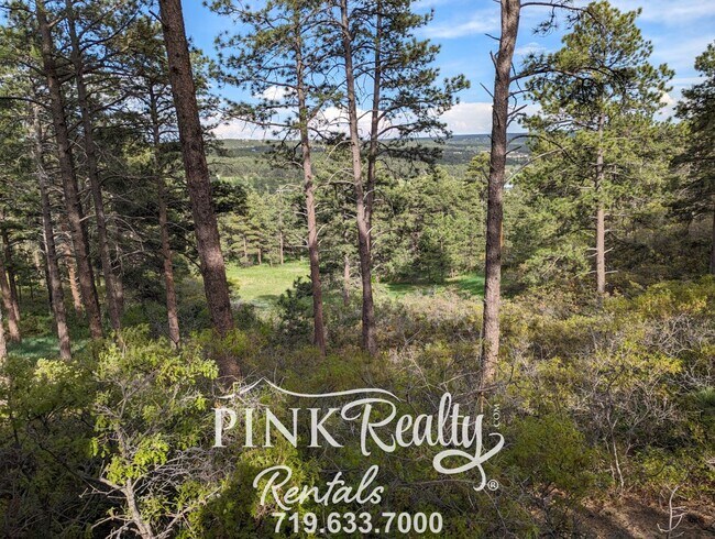 Foto del edificio - Gorgeous, Private 3 Bedroom Rancher on 2.5...
