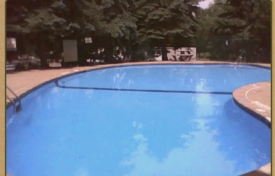 Outdoor Pool - Canary Hill Apartments