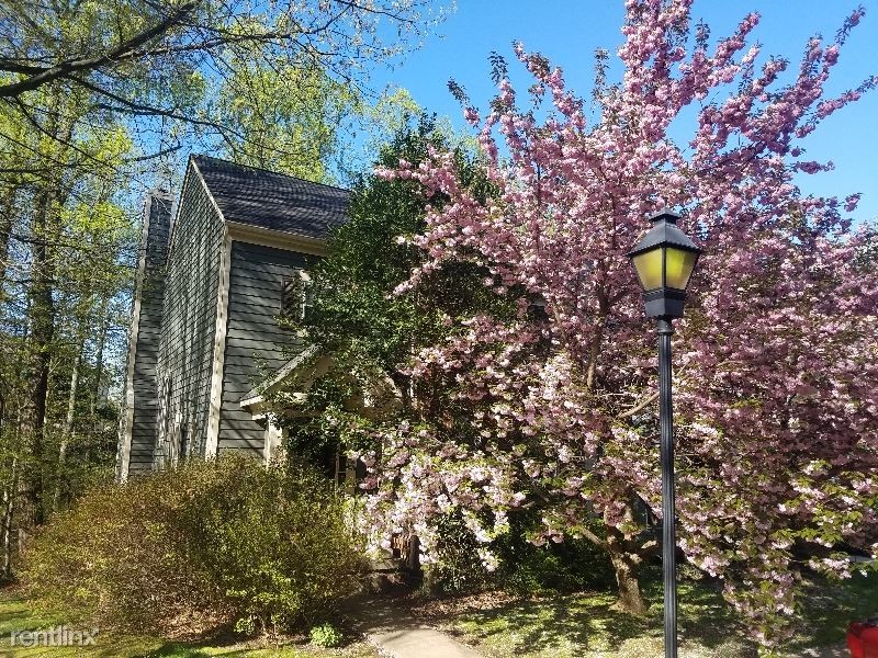 Foto principal - 1 br, 1 bath Townhome - 11822 Great Owl Cir