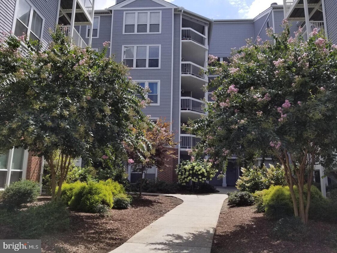 Foto principal - 3178 Summit Square Dr