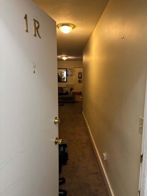 River Street Residences in Hyde Park - River Street Residences in Hyde Park Apartment