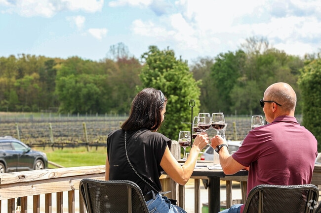 Enjoy local wines in beautiful vineyards at White Horse Winery.