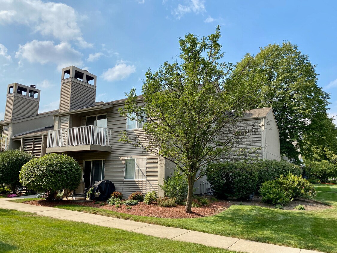 Primary Photo - 44 N Park Ave