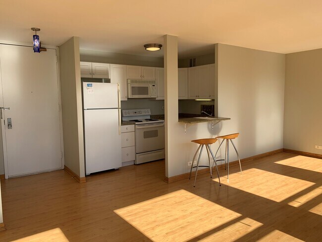 Building Photo - Wonderful West Facing Studio in Lincoln Park