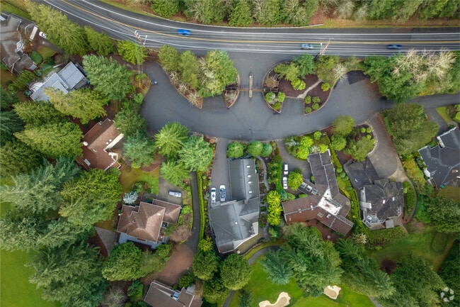 Homes in Sammamish feature large lots surrounded by giant trees.