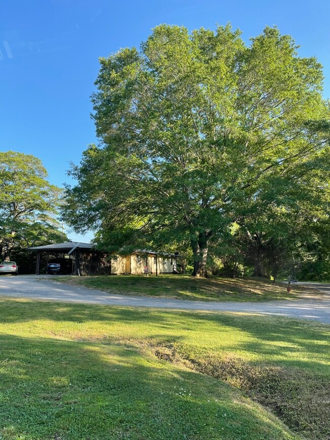 Building Photo - 380 Co Rd 226