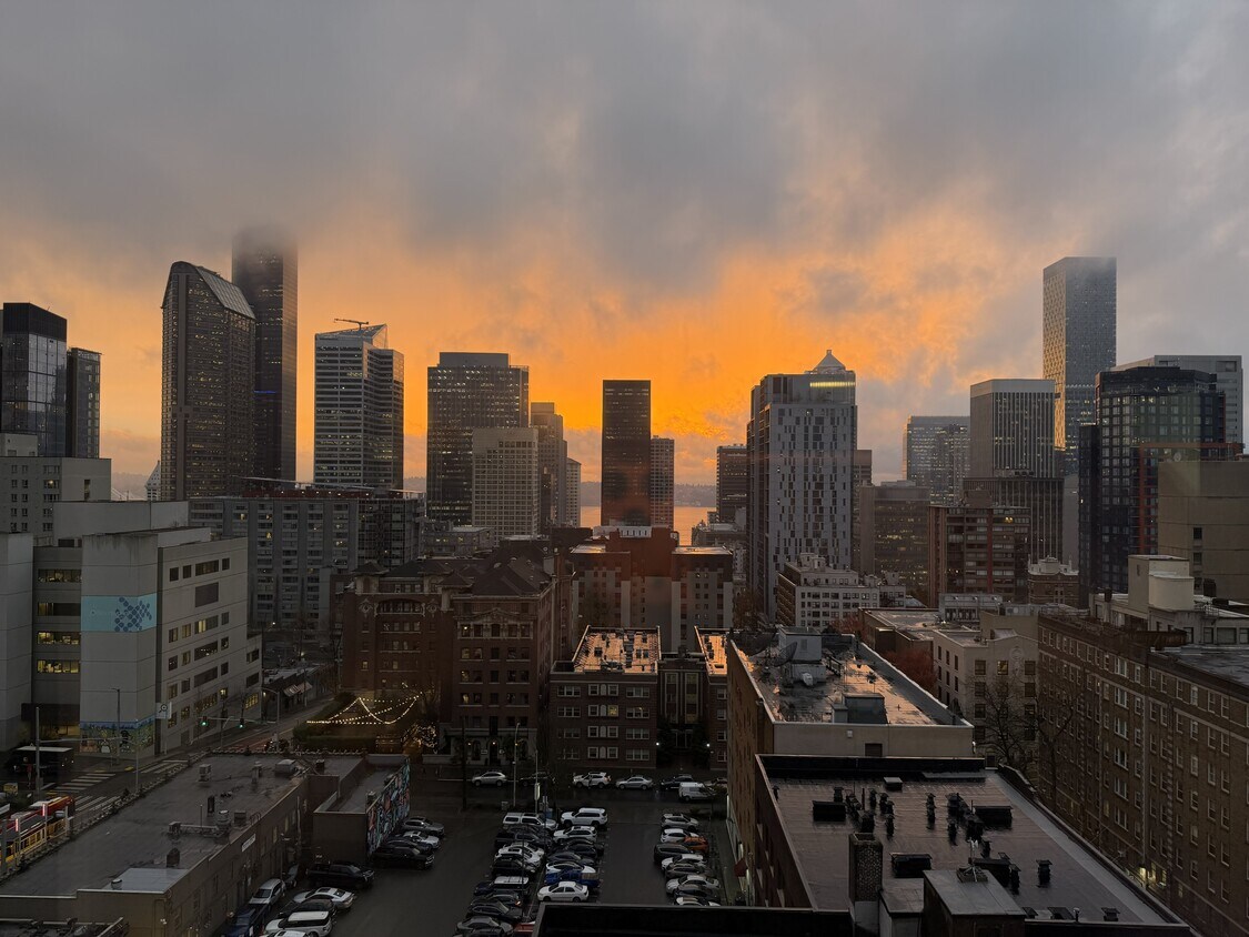 1105 Spring St, Seattle, WA 98104 - Townhome Rentals in Seattle WA ...