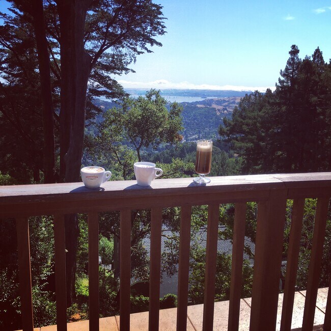 Foto del edificio - 14 St Jude Rd