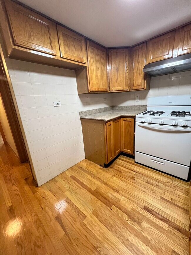 337 W 24th St, Chicago, IL 60616 House Rental in Chicago, IL