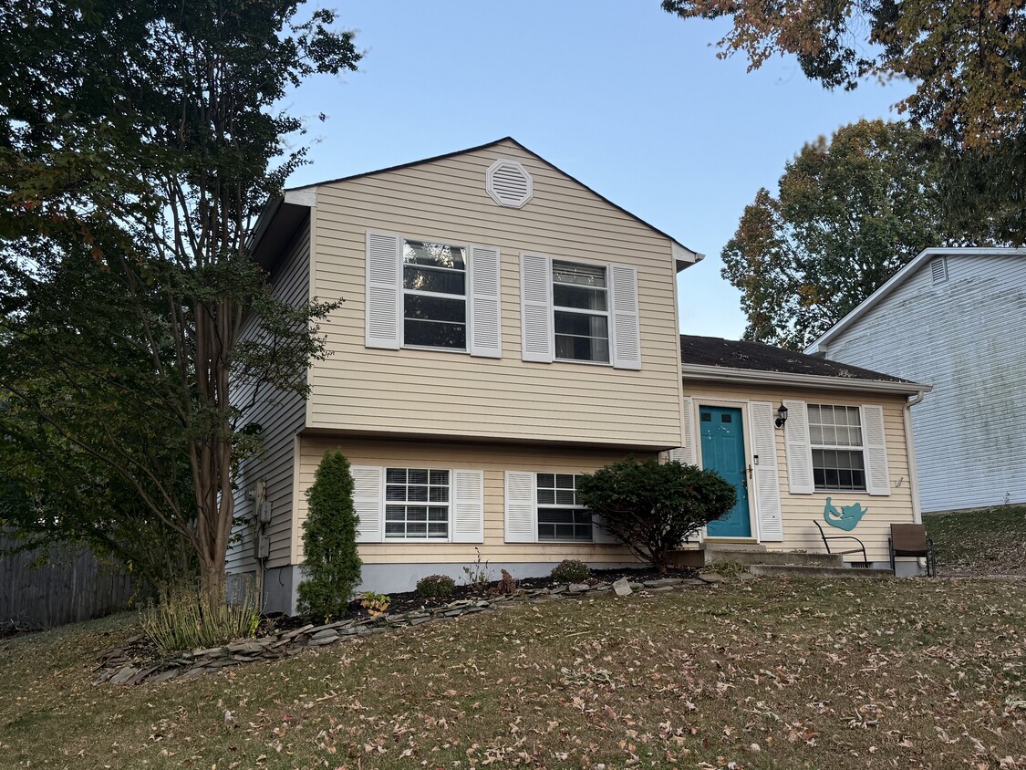 Primary Photo - 1127 Mermaid Dr
