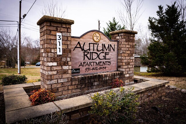 Building Photo - The Spruce - Comfortable 1-Bedroom at Autu...