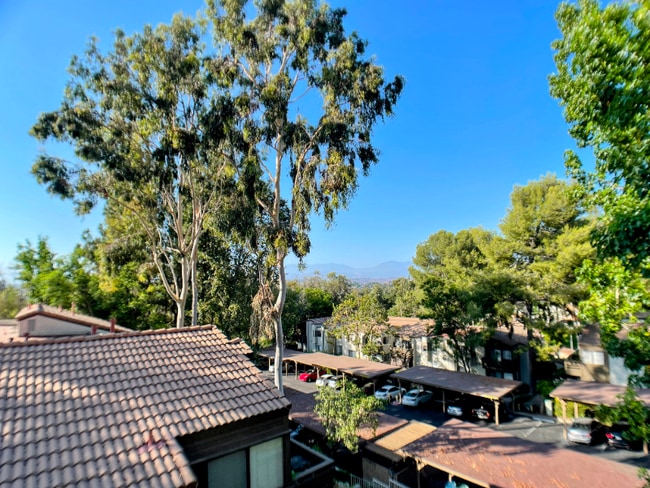 Photo - 22725 Lakeway Dr Apartment