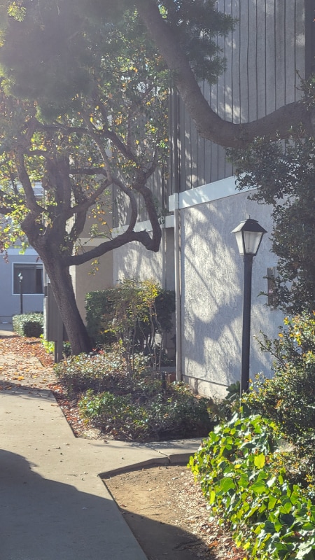 Building Photo - 1533 El Tigre Ct