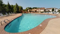 Located at 842 Cobblestone Cir in Painesville, Ohio, this outdoor amenity space centers around a generously sized freeform swimming pool with striking turquoise water. The pool's curving, organic shape adds a resort-like character to the setting, and its brick-paved surround provides ample space for lounging and circulation. A thatched-roof pergola sits prominently at the far end of the pool deck, offering a shaded retreat and a natural focal point for the area. Lounge chairs are arranged along the pool deck, creating dedicated spaces for relaxation. A decorative water feature or fountain element is visible near the pergola, adding visual interest and an inviting ambiance. The space is framed by mature evergreen and deciduous trees that provide privacy, shade, and a sense of enclosure. In the background, multi-story residential buildings with classic brown rooflines are visible, situating this amenity space within a well-established community. The overall atmosphere is vibrant and recreational, making this pool area a standout communal feature well-suited for warm-weather enjoyment.