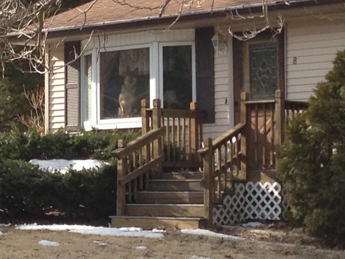 Front of house - 8 Leha Ave
