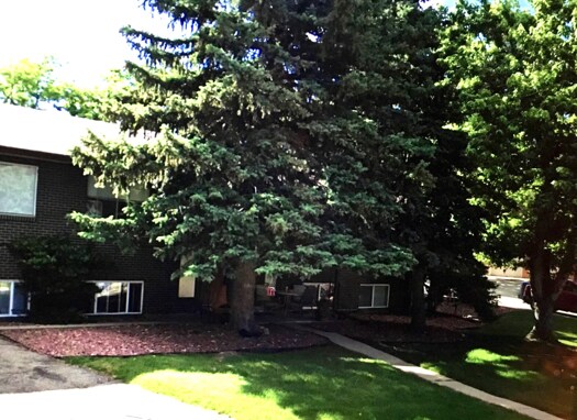 front of house shaded by tree - 1604 Golden Hills Rd