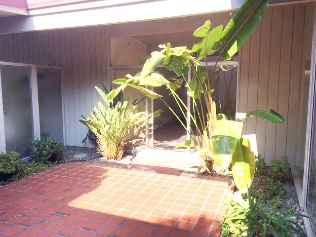 Building Photo - 2913 Frontera Way