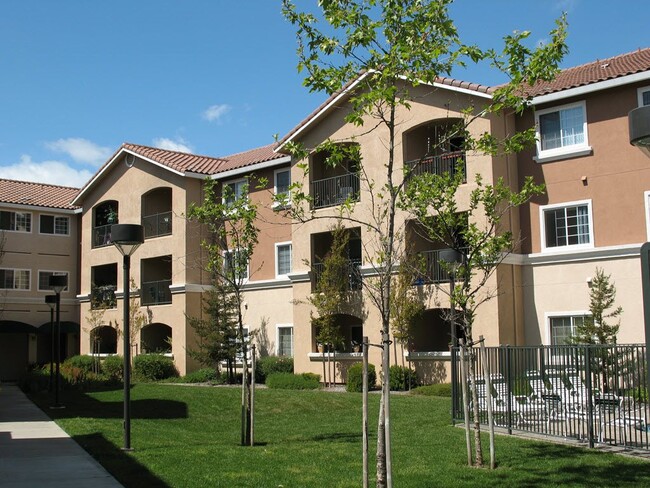 Building Photo - Vintage Zinfandel Senior Apartments